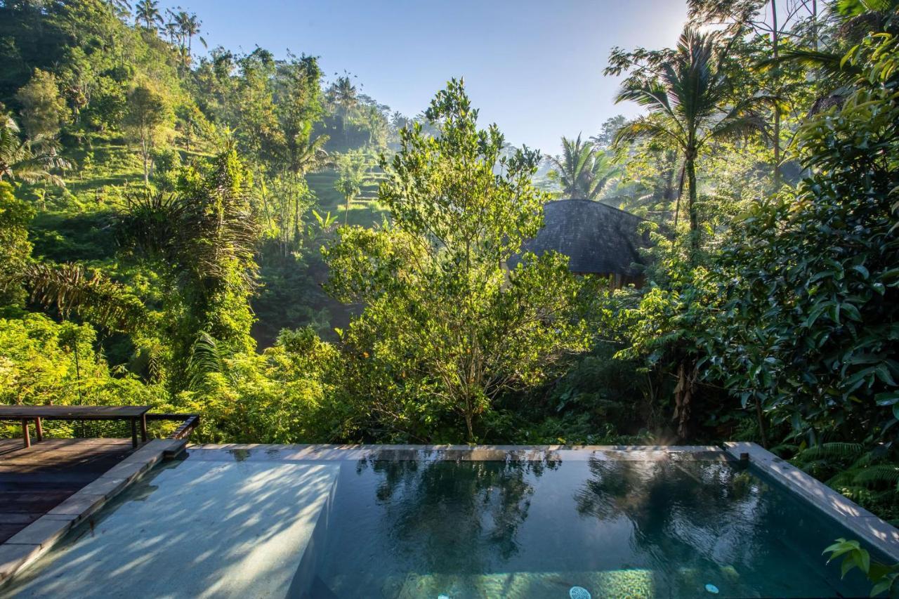 Buahan, A Banyan Tree Escape Payangan Ngoại thất bức ảnh